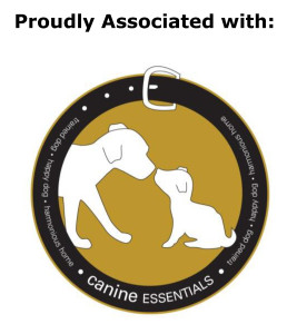 CE Proudly Associated with